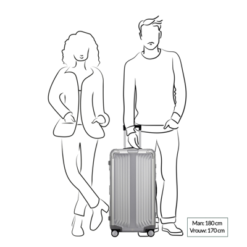 Samsonite Lite Box Alu Trunk 74 Aluminium Harde Koffer